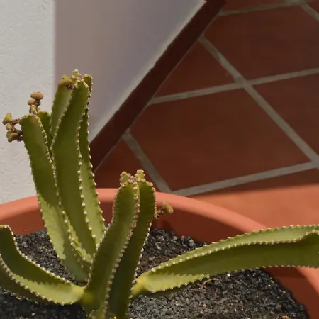 Mirafondo Casa vacanze