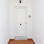 Mirafondo *