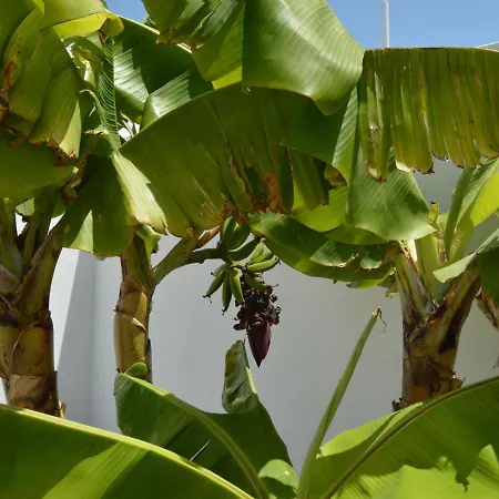 Mirafondo Vakantiehuis Playa Honda (Lanzarote)