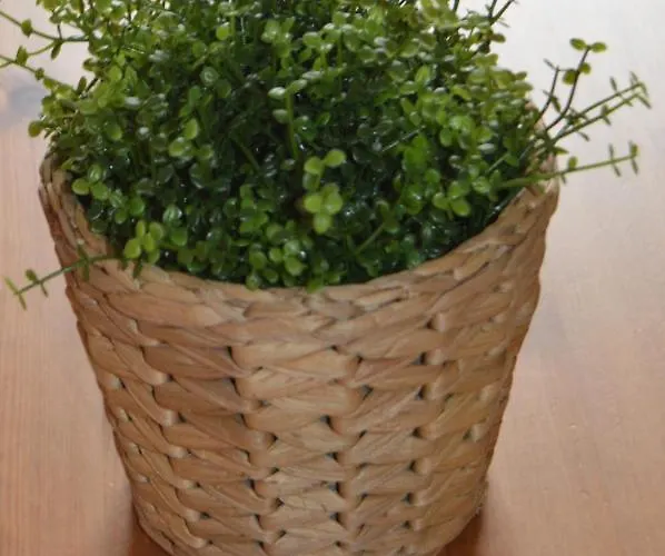 펜션 Mirafondo 플라야 온다