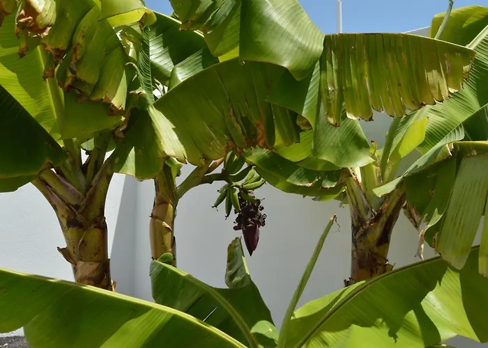 Mirafondo 別荘 プラヤ・オンダ