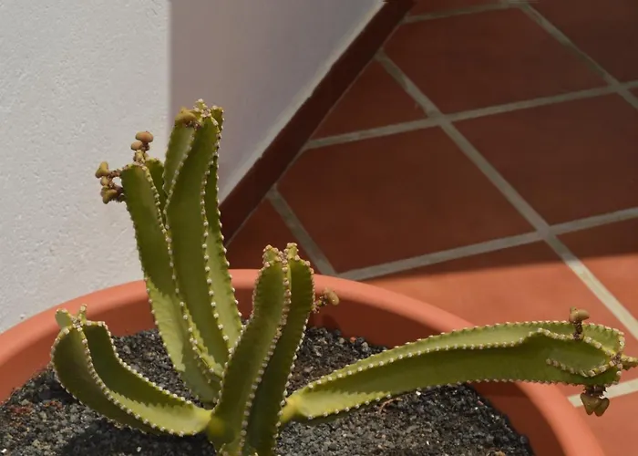 Mirafondo Сasa de vacaciones