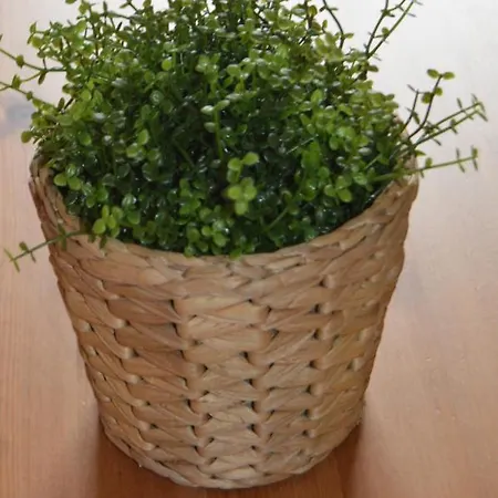 Vakantiehuis Mirafondo Playa Honda (Lanzarote)